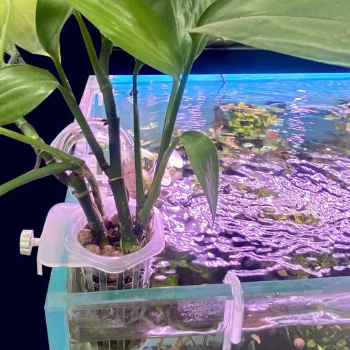 Image of MiOYOOW Aquarium Plant Holder, 2PCS Wall-Hanging Fish Tank Plant Pot with Rooting Hole for Aquarium Plants Decorations