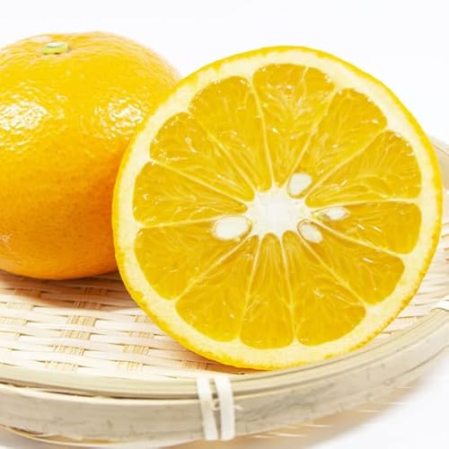 �g�É� �݂��� 5�L�� �G�i �����p M�T�C�Y ���������Y �g���܂Ȃ� 5kg�E�ʕ��E���k�E�t���[�c�E��y�Y�E�������E�����p�̃M�t�g