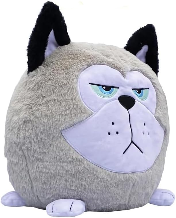 https://m.media-amazon.com/images/I/51FjVHrQSqL._AC_SL1100_.jpg