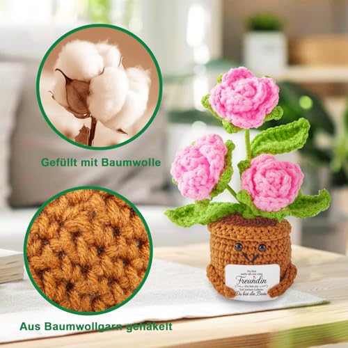 Yiminu.DS Beste Freundin Geschenke, Geschenk Freundin Geburtstag, Geburtstagsgeschenk für Freundin Personalisierte Pocket Hug Rosen Blumen