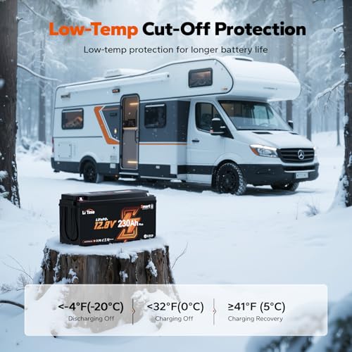 Image of Litime 2 Packs 12V 230Ah LiFePO4 Lithium Battery for RV, Travel Trailer