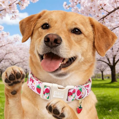 Image of Dog Collars, Spring Red Strawberry Print Pet Collar Holiday Cute Durable Adjustable Pendant Gift Collar with Quick Release Plastic Buckle for Medium Dogs