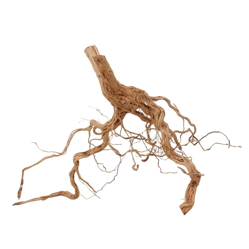 AquaOne Decorazione per acquario, radice di drago, misura XL, in vero legno, n. 2174, decorazione per piante e paesaggio, muschio naturale