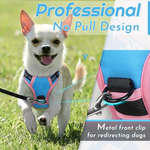 Image of Eagloo Dog Harness for Small Dogs, No Pull Pet Vest with 2 Leash Clips