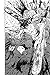 Chainsaw Man, Vol. 1