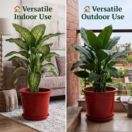 Image of 12 Inch Glossy Red Plastic Planter with Bottom Plate | Heavy Duty Flower Pot with Tray for Indoor Home Decor, Balcony, Living Room & Outdoor Garden (4 Pot, Red)
