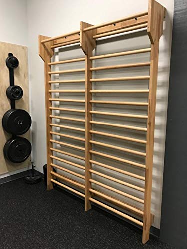 ARTIMEX espaldera Doble de Haya para Fisioterapia, Gimnasia y Fitness - se utilizan en hogares, gimnasios, clínicas, escuelas o centros de Fitness - 240x180 cm, código 216-2F