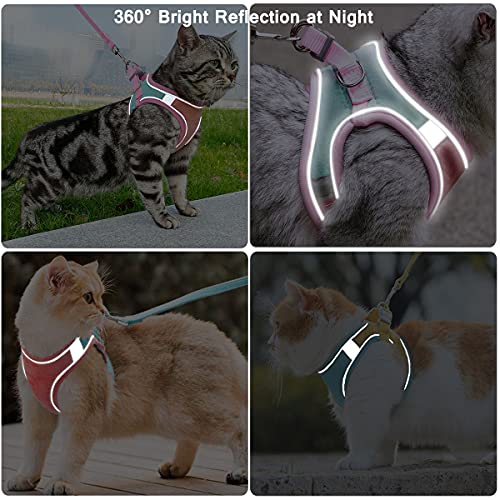 Jsxd Cat Harness,Leash And Collar Set,Escape Proof Kitten Vest Harness For Walking,Easy Control Night Safe Pet Harness With Reflective Strap And Bell For Small Large Kitten,Fit For Puppy,Rabbit #TOP4