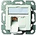 Produktbild Telegärtner Datenanschlussdose Cat6A 2-Fach 2xRJ45 J00020A0500 AMJ45 8/8 UP/50 alpinweiß 5 V, Weiß (5, RJ45)