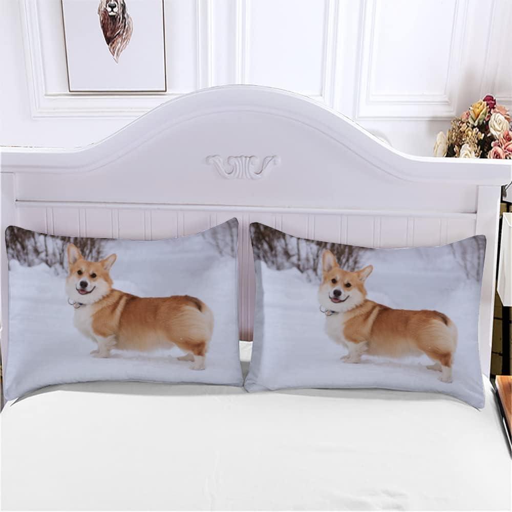 Poszwa na kołdrę 135/150 Corgi Edredon 240x220 Pies Zwierzę domowe 3D Poszewki na kołdrę Miękka mikrofibra 3-częściowa pościel z zamkiem błyskawicznym i 2 poszewkami na poduszki K-678