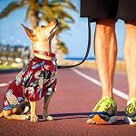 Weewooday 4 Pieces Small Pet Summer T-Shirts Hawaii Style Floral Pet Dog Shirt Breathable Cool Clothes Beach Seaside Puppy Sweatshirt for Puppy(Cute Style,Small) - Image 5