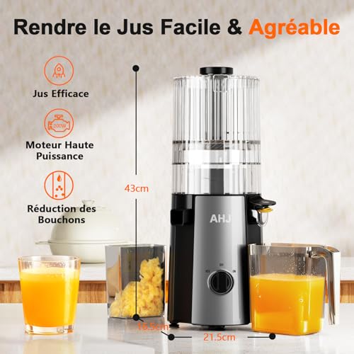 Extracteur de Jus Slow Juicer, Extracteur de Légumes et Fruits Pression Avec Remplissage 135 mm, 100% Sans BPA, Extracteurs Jus Lent avec 2 Verres,Facile à Nettoyer, pour Mariage & Anniversaire – Image 3
