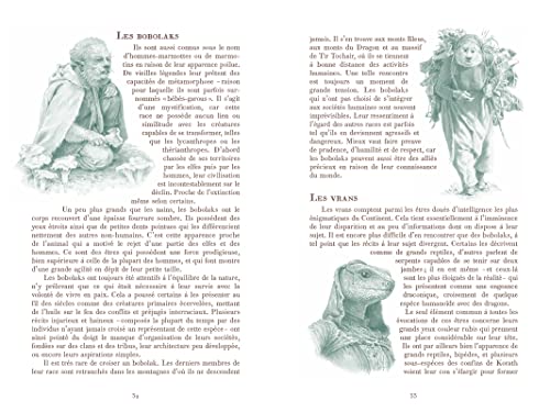 L'Univers du Sorceleur (Witcher) : Manuel du Sorceleur - Image 2
