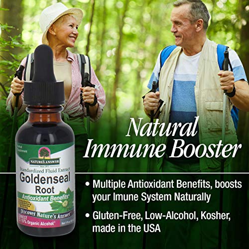 Nature's Answer Goldenseal Root With Organic Alcohol 1 Fluid Ounce | Promotes Overall Wellness | Natural Immune Booster | Inflammatory Reducer #TOP2
