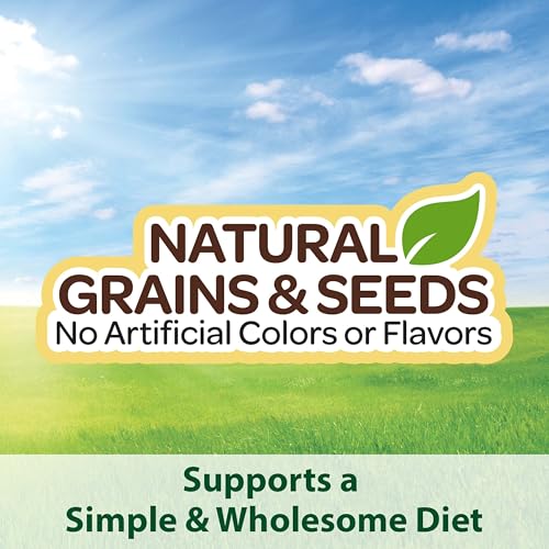 Kaytee Supreme Pet Parrot Food, Natural Seed & Grain Blend, 20 Pounds - image 4