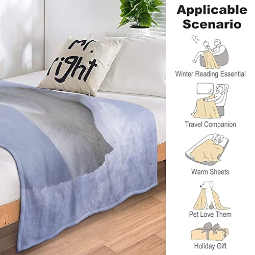 Couverture polaire ours polaire plaid lit chaud couverture hiver flanelle - 6