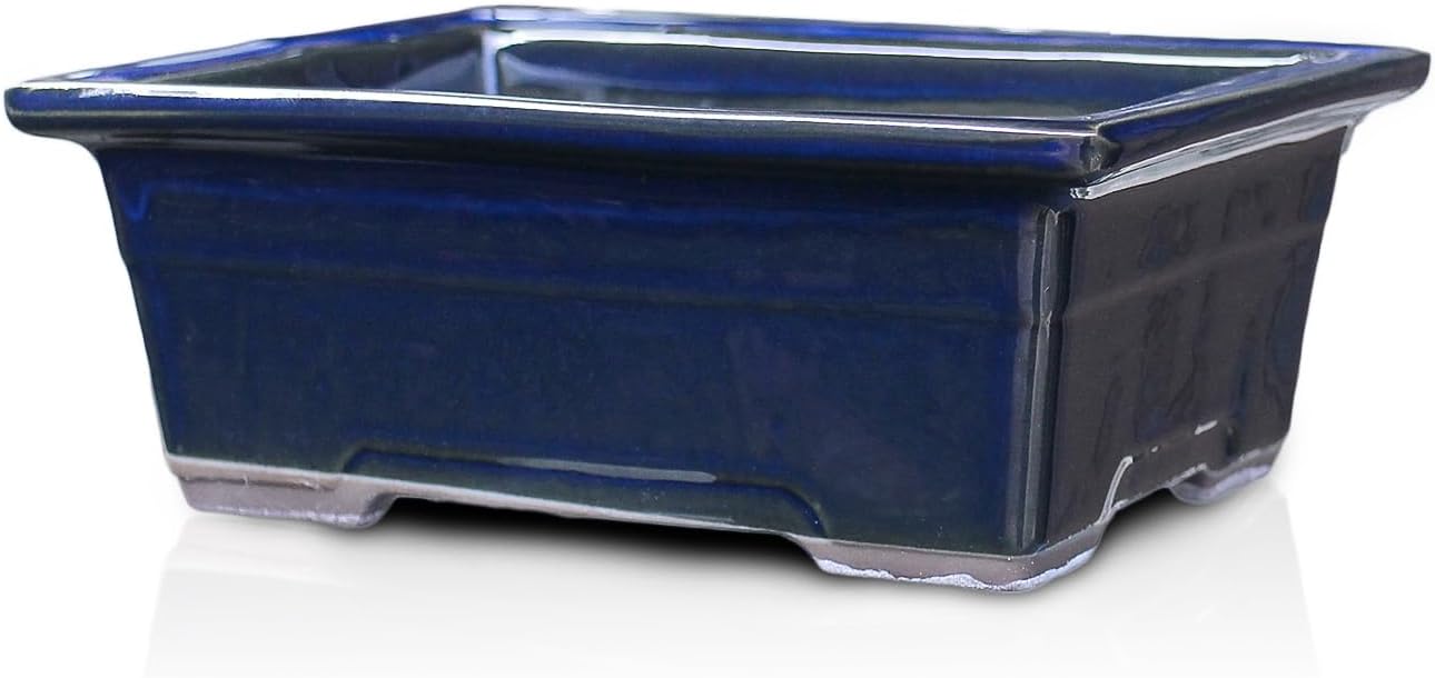 Bonsai Pot Ceramic Glazed Rectangle with Belt-Like Decoration (7.25, Namako-Yu)