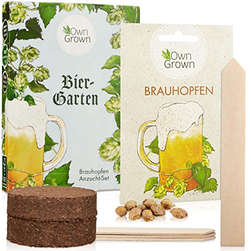 Hopfen Rankpflanze – Die 15 besten Produkte im Vergleich ...