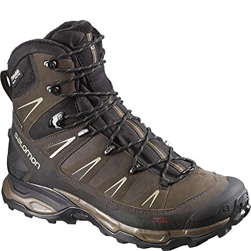 Salomon Men's X Ultra Winter CS Waterproof Performance, Absolute Brown, 10.5 D US