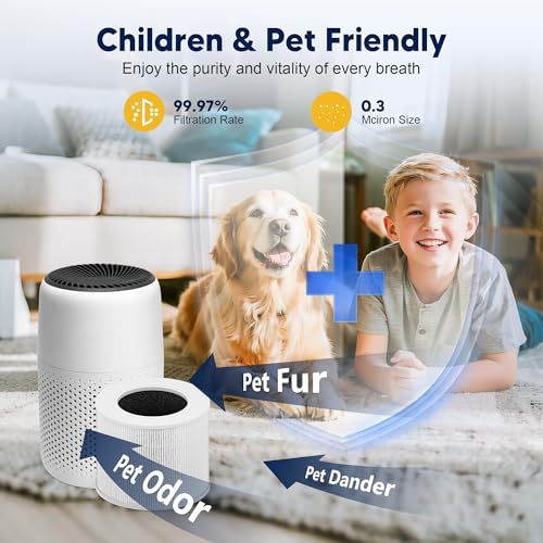 Core Mini Replacement Filter for LEVOIT Core Mini-P Air Purifier, 3-in-1 High-Efficiency H13 True HEPA Activated Carbon Filter, Replace Part # Core Mini-RF, 3 Filter & 10 Fragrance Sponge