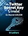 The Twitter Secret Key Revealed: Twitter Primer Book