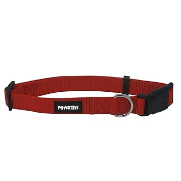 Dog Collar, Buy a Collar. Feed a Dog. The Pawsitive Co Durable Nylon Puppy and Dog Collar with Chrome Plated D Ring - Large - Red