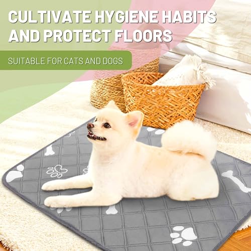 Image of PatiencET Washable Pee Pads for Dogs, 18 inch x 24 inch 4 Pack, Reusable Puppy Training Pads with Super Absorbent Core & Non-Slip Waterproof Bottom, Value Set for Small Dogs