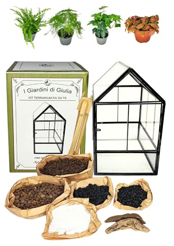 Esperienza Fai da Te Unica: Personalizza e crea il tuo terrarium con facilità, rendendo ogni composizione unica e originale.