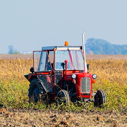 image for Tkanina Custom License Plate Personalized License Plate,4x2/7x4/12x6 I