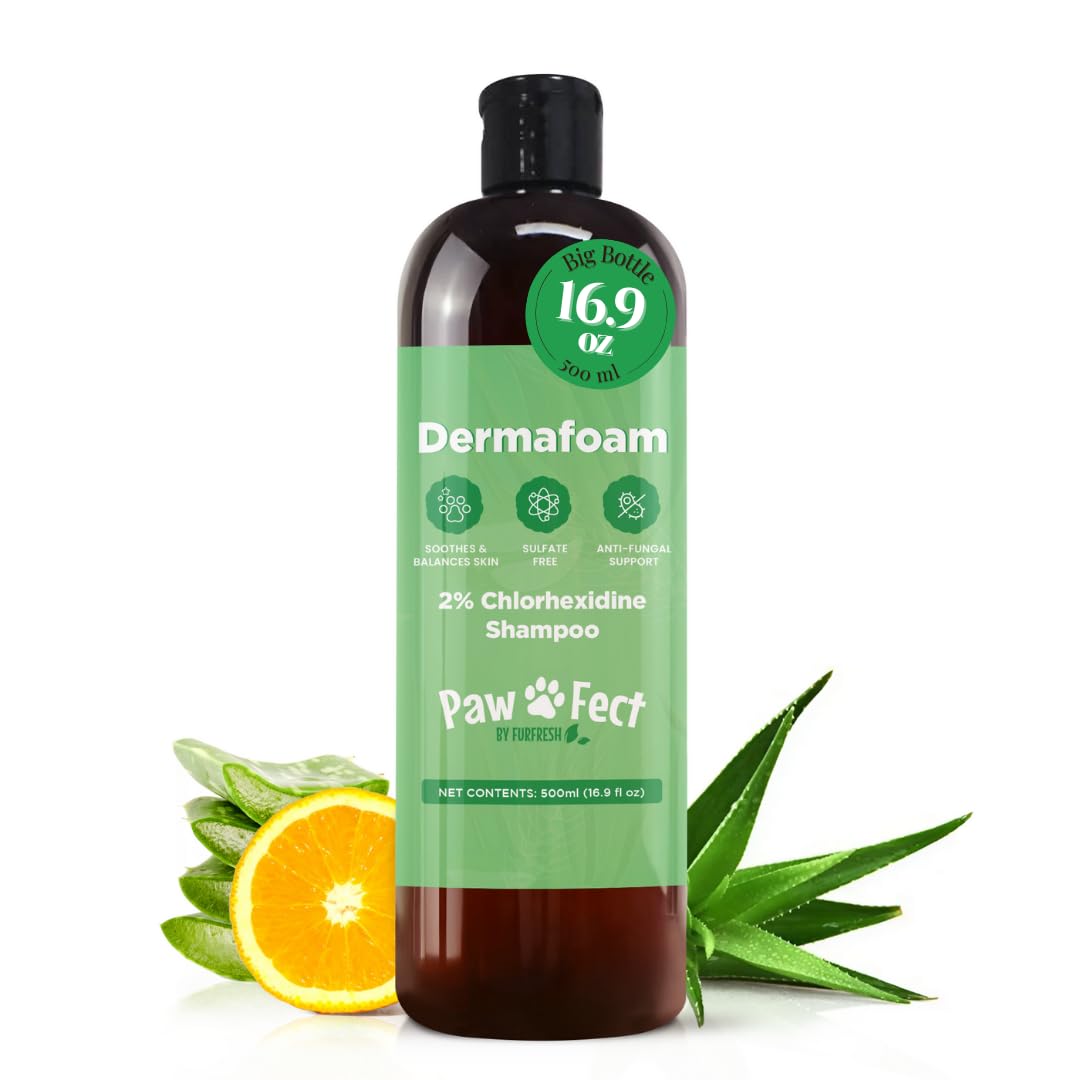 Dermafoam 16.9oz Chlorhexidine Shampoo for Allergies, Itching, Skin and Coat Supplement, Helps Shedding, Hot Spots, Paw Irritation, Rashes Deodorizing and Cleansing Dog Shampoo & Grooming Supplies