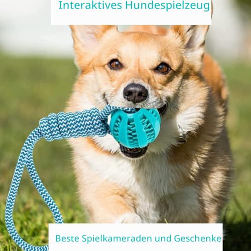 Lusacy 2 Stücke Hundeball mit Schnur, Hundespielzeug Ball mit Seil, Wurfspielzeug Hund Gummi, Hundeball Unzerstörbar 6cm, Kauspielzeug für Große Kleine Hunde Zahnpflege Fangen Tauziehen