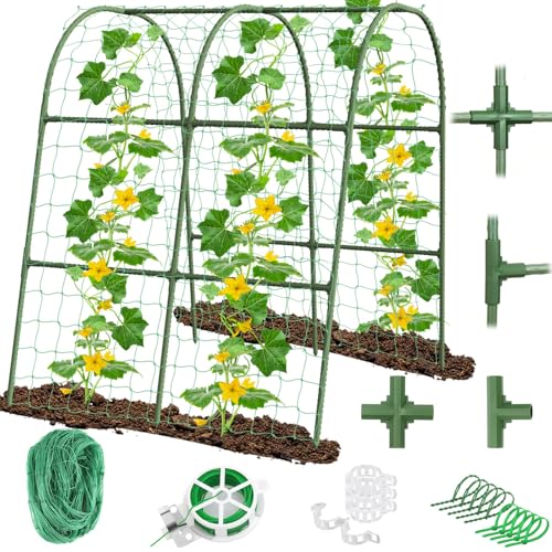 Sweet Peas: 7 Secrets for the Most Fragrant Blooms Emquito Cucumber Trellis for Raised Bed Garden, U-Shape Arch Trellis for Climbing Plants Outdoor, Metal Vegetables Trellis with Netting, Garden Trellis for Cucumber Plants Sweet Pea Bean