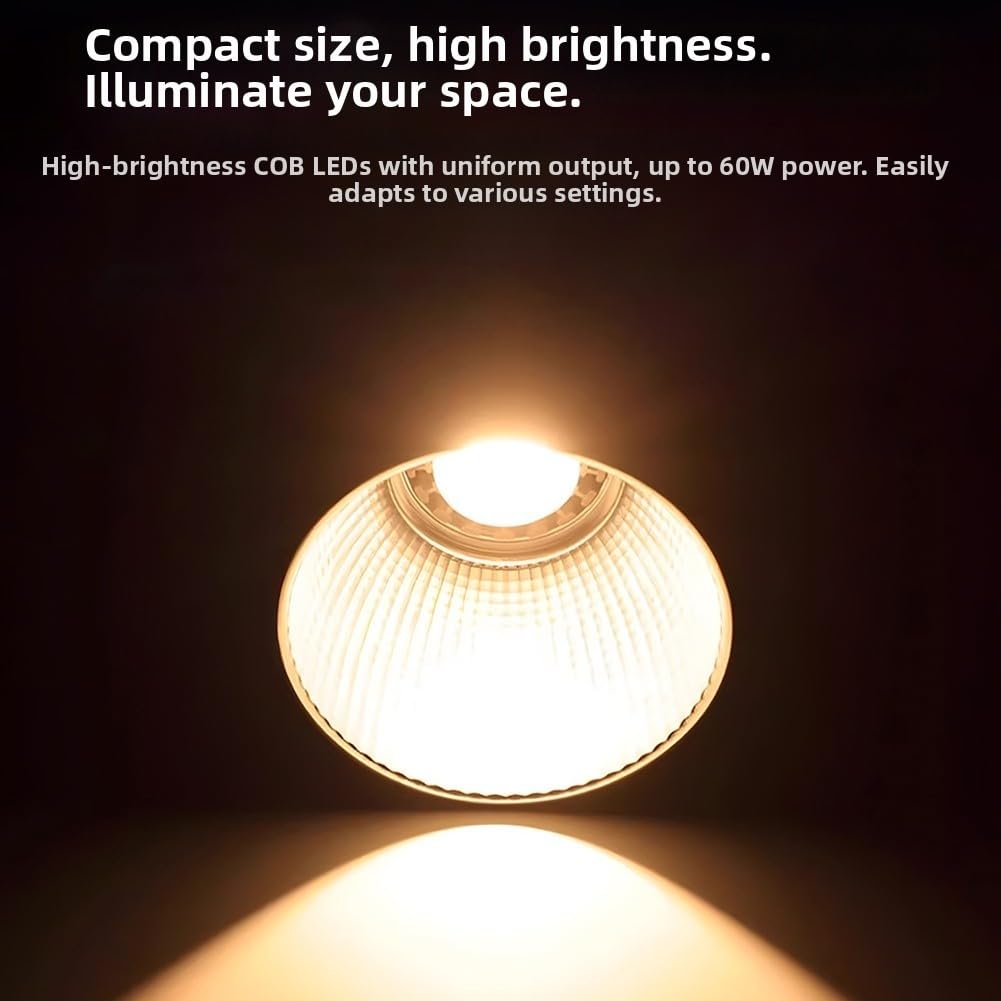 60W COB Fotografia Luce Softbox Riflettore Portatile (nero) | Softbox e riflettore inclusi, regolabile per modalità di illuminazione, per una robusta struttura in plastica