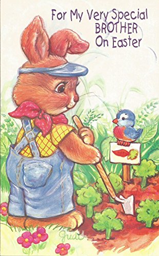 For My Very Special Brother On Easter (E12)