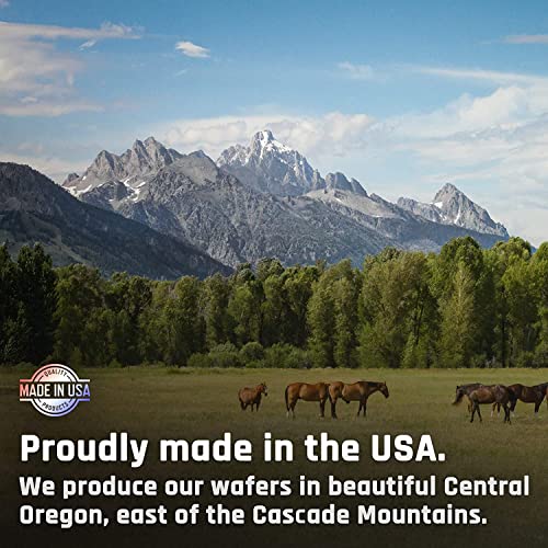 Majesty's Omega Wafers - Superior Horse / Equine Skin, Coat, And Immune Support Supplement - Omega 3, 6, 9, And Biotin - 60 Count (2 Month Supply) #TOP7