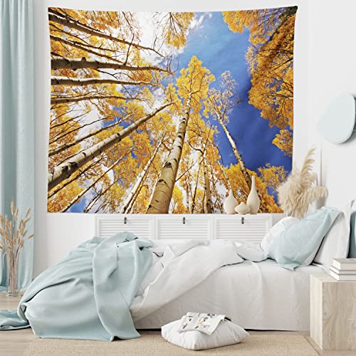 Lunarable Forest Tapestry Twin Size, Tall Aspen Trees To Clouds In Fall Regional Sun Burst Wilderness Nature Depiction, Wall Hanging Bedspread Bed Cover Wall Decor, Twin Size, Orange Blue #TOP5