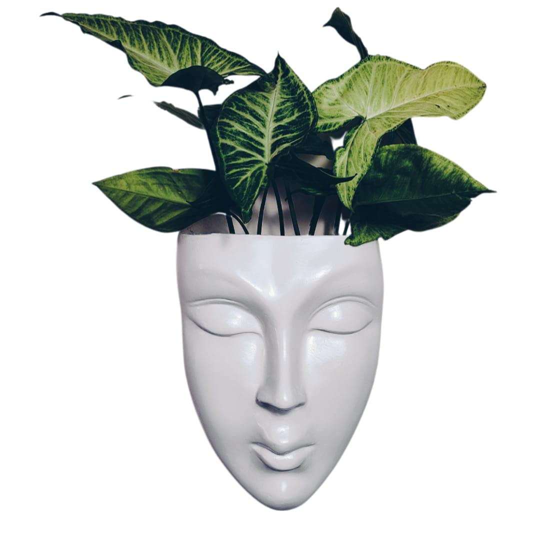 Wall Planter, Female face Planter, Head Planter, Wall Hanging Planter for Home Decor and Balcony Decor, Suitable for Indoor and Outdoor (B0BC4DKK5X) Amazon Price History, Amazon Price Tracker