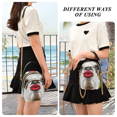 Funny Llama Red Lips Shoulder Handbags for Women Quilted Chain Strap Phone Wallet Handbag Cute Ladies Tote Crossbody Satchel 5