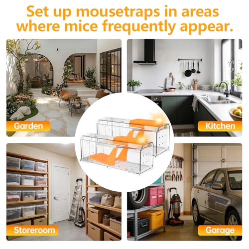 Lebendfalle Maus mit Signallicht, 2er Set Große Mausefalle Lebend mit Hochsensibler Auslösemechanismus, Lebendfalle Ratte Berührungsfreie Freigabe, Mäusefalle Lebend für Innen und Außen