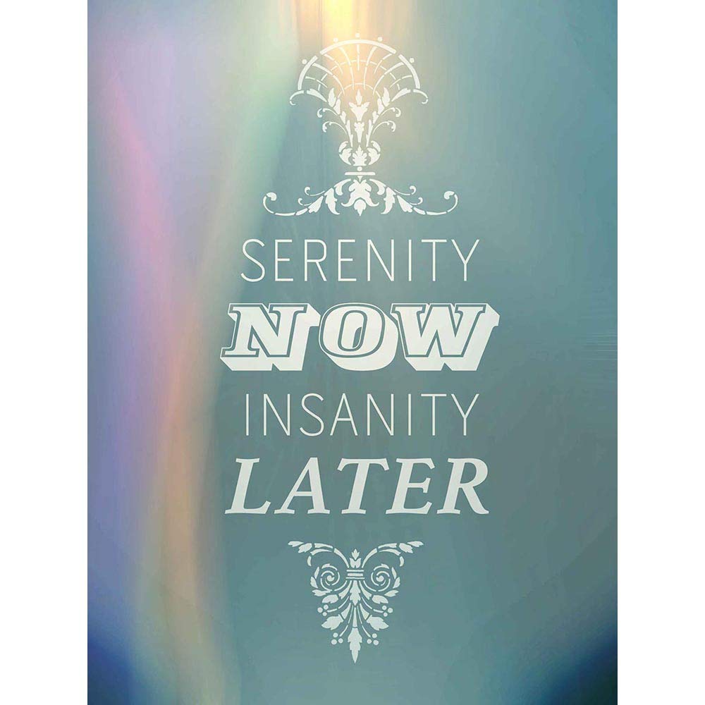 Wee Blue Coo Serenity Now Sanity Later Typography Quote Motivation Art Print Poster Wall Decor 12X16 Inch