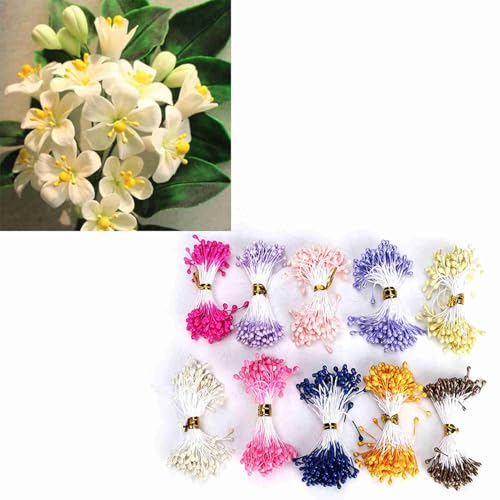 Accesorio decorativo de estambres florales hecho a mano 900 piezas miniatura 4
