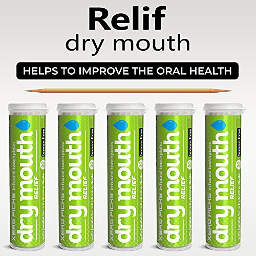 Xero Picks Infused Flavored Toothpicks for Long-Lasting Fresh Breath & Dry Mouth Prevention - 100 Picks (5 Pack) (Lemon Lime)