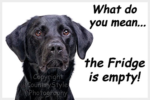 Black Labrador Retriever Dog Funny Fridge Magnet Lab Gift - What do You Mean...The Fridge is Empty