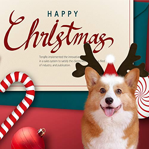 KUDES Tiara clássica de chifres de rena de Natal para cães, acessório para fantasias de animais de e