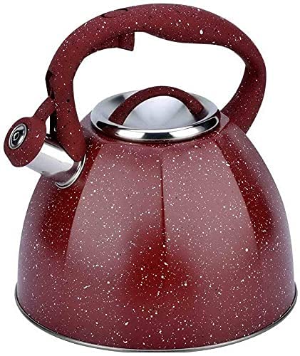 Bouilloire à sifflet inox de 4L pour vos thés en famille et camping en plein air