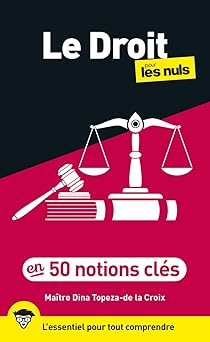 Le Droit pour les Nuls en 50 notions clés, 3e éd-Wow! eBook