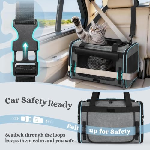 Image of rabbitgoo Cat Carrier Soft with Rollable Flap, Travel Safe for Car Airline
