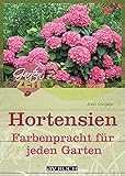  Hortensien: Farbenpracht für jeden Garten (Gartenzeit bei avBUCH)