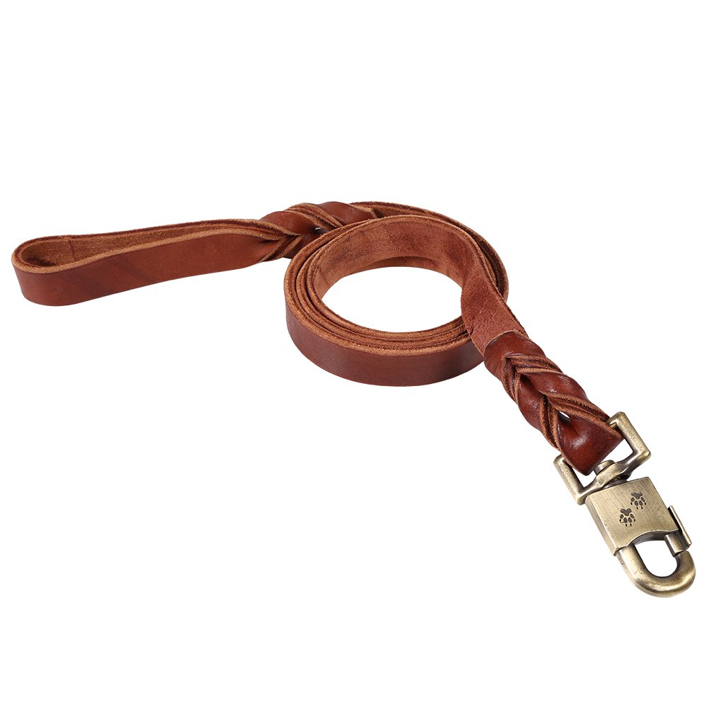 Guinzaglio in pelle morbida per cani, 2,5 cm (2,5 x 120 cm)