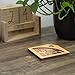 Creative Crafthouse Penny Packer 16 Puzzle - Handmade Wooden Puzzle - Precision Cut and Laser Engraved - Great Coffee Table and Desktop Conversation Starter - Made in the USA
